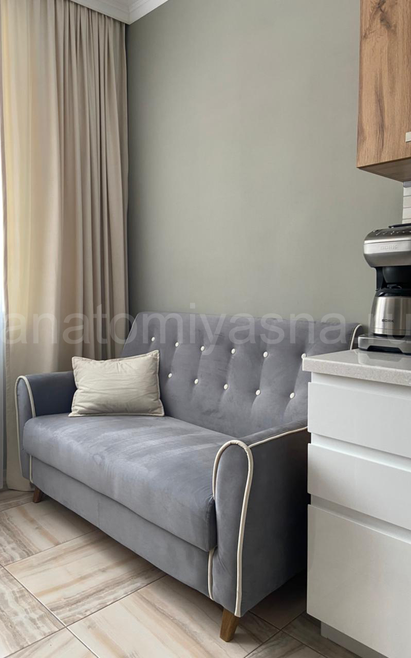 отзыв о Диван Flepers Lion Муссон